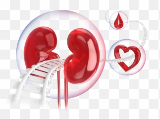 Invokana Canagliflozin Type 2 Diabetes Napp Pharmaceuticals Emoji,Drop Heart Emoticon