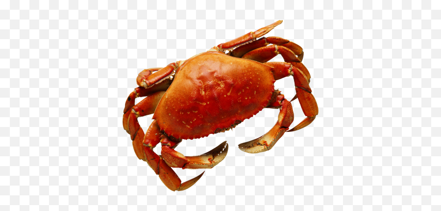 Png Images Crab Snipstock Emoji,Crustacean Emotion