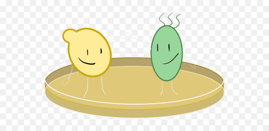 Bit - Happy Emoji,Diarrhea Emoticon