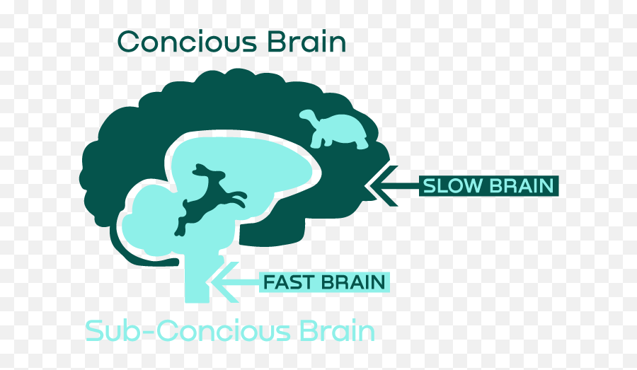 Behavioral Economics Influences Ux Design - Language Emoji,Self Concious Emotions