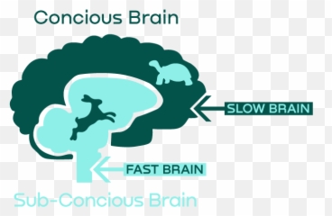 Behavioral Economics Influences Ux Design - Language Emoji,Self Concious Emotions