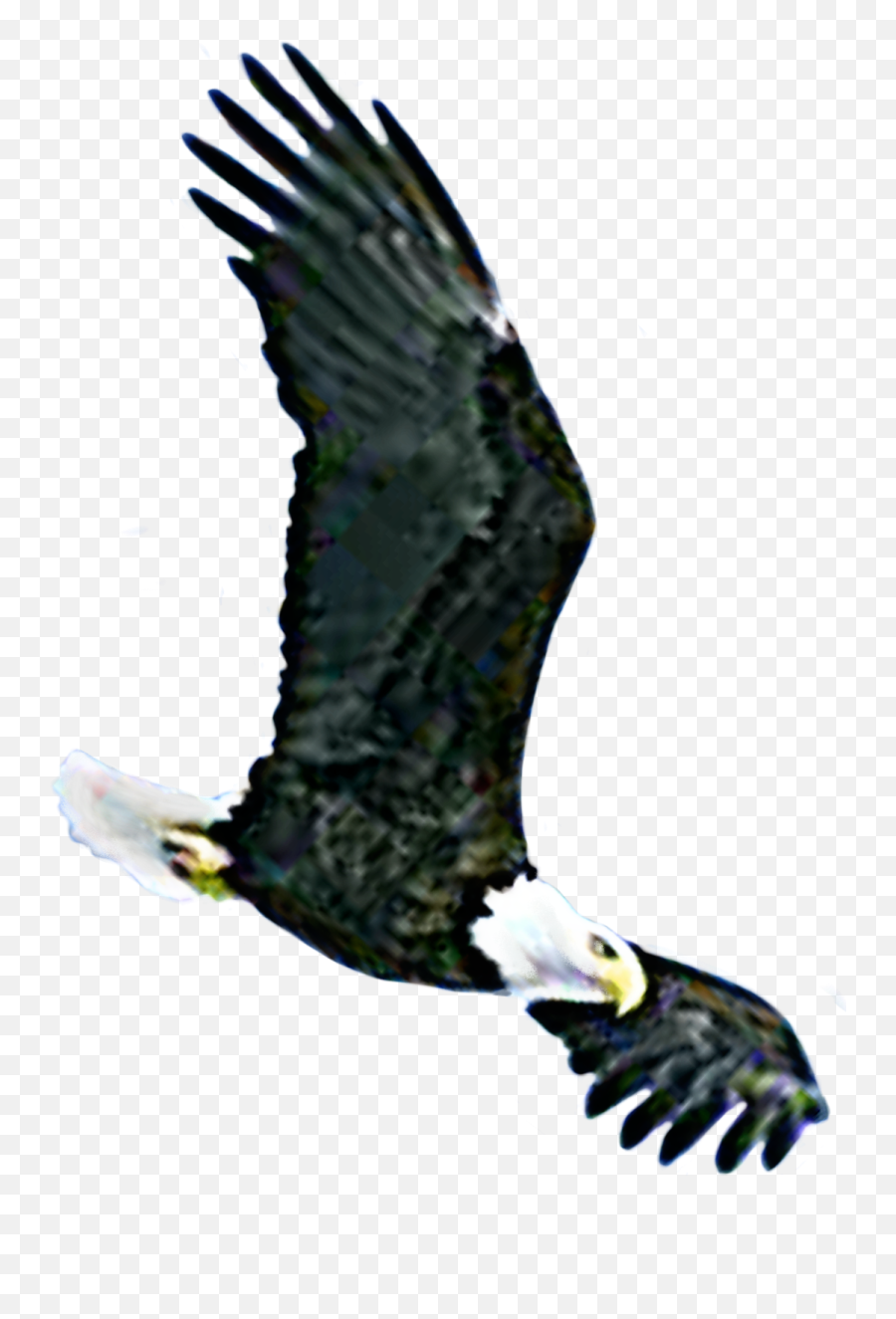 Falcon American - Freedom Emoji,American Eagle Emoji