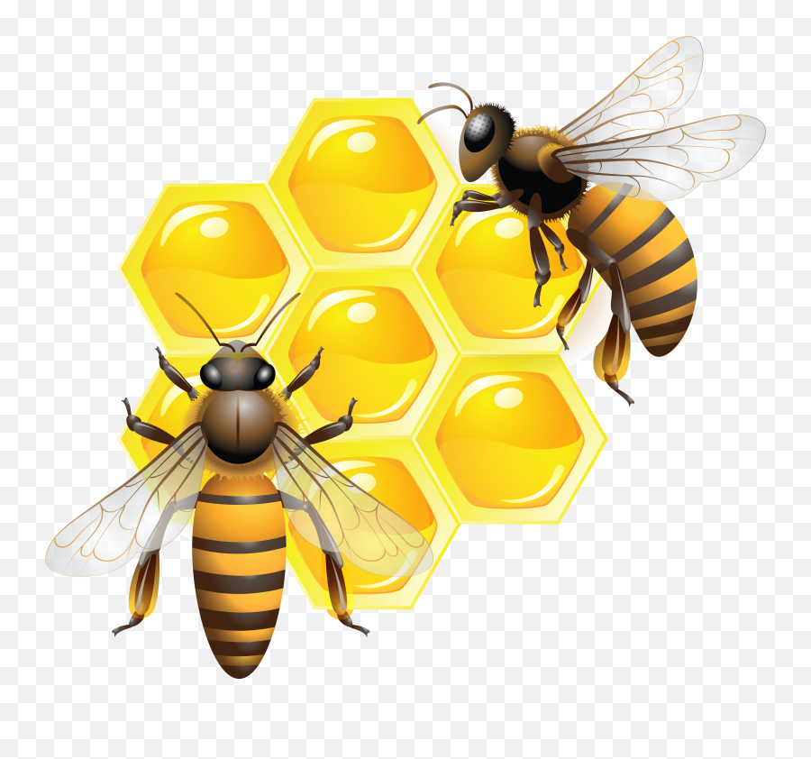 Honey Png Transparent Dripping Honey Honey Bee Free - Transparent Honey Bees Emoji,Honey Bee Emoji