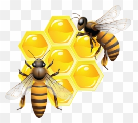 Honey Png Transparent Dripping Honey Honey Bee Free - Transparent Honey Bees Emoji,Honey Bee Emoji