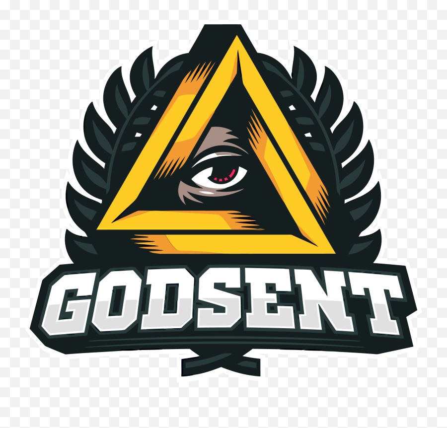 Professional Csgo Players Steam Profile - Godsent Cs Go Emoji,Fnatic Logo Emoticon