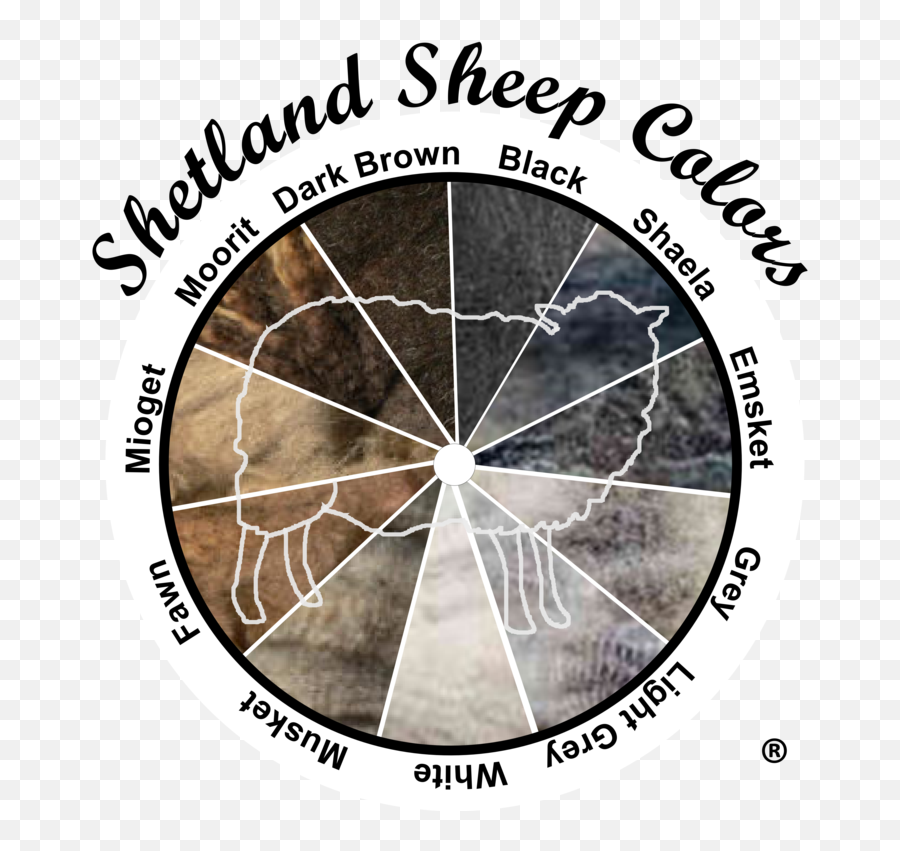 Shetland Sheep - Shetland Sheep Wool Colors Emoji,Emotion Of Collor