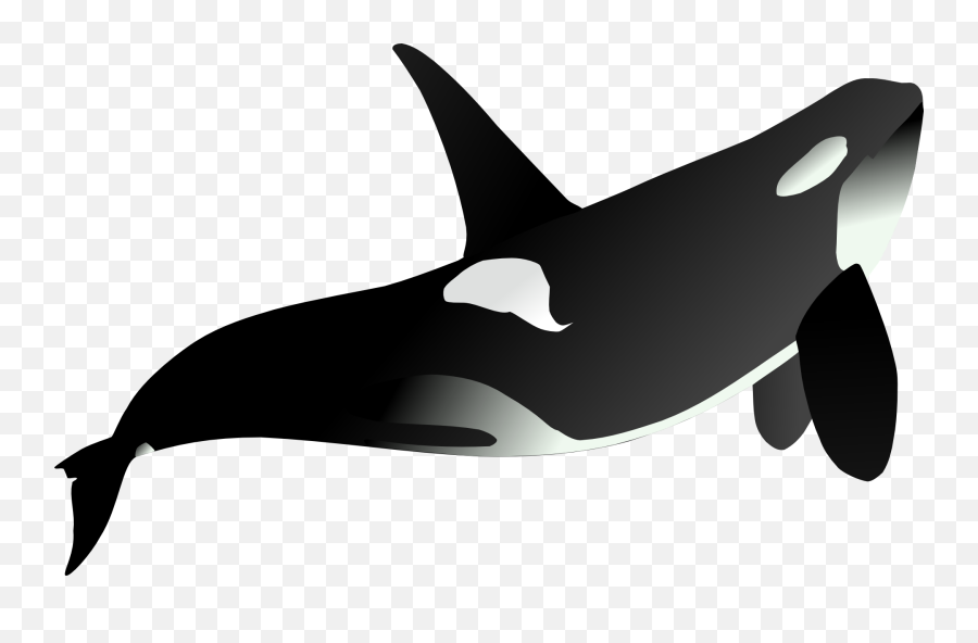 Free The Whale Whale Illustrations - Animales Marinos Fondo Transparentes Emoji,Orca Emoji