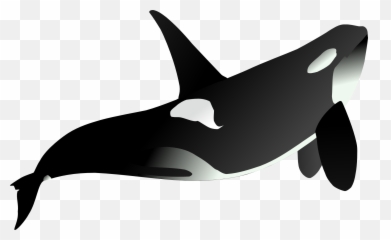 Free The Whale Whale Illustrations - Animales Marinos Fondo Transparentes Emoji,Orca Emoji