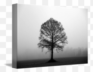 The Tree - Horizontal Emoji,Emotion Art Trees