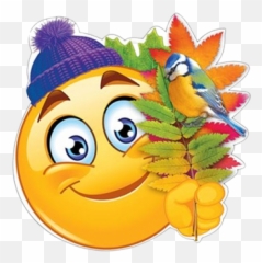 Amigo Emoji,Onion Emoticon