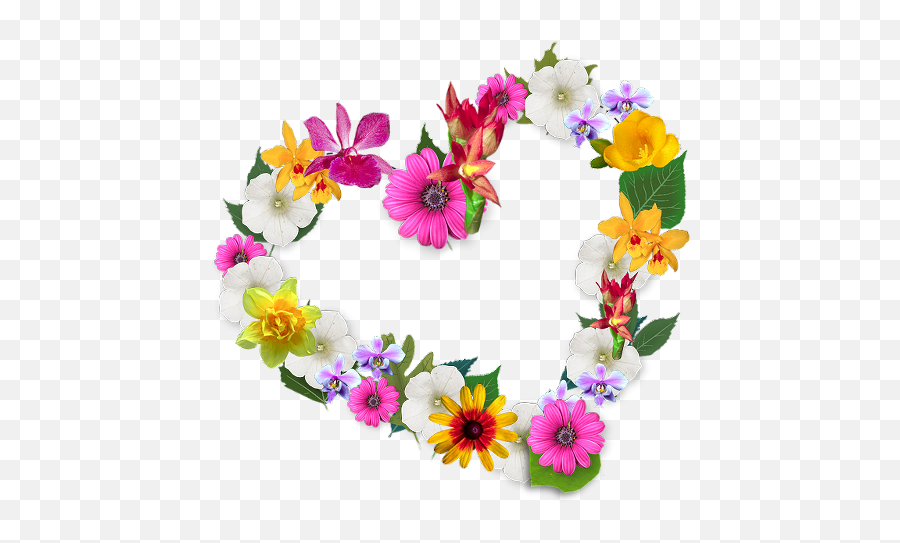 72 Ideas De Floricienta En 2021 - Flower Hello April Emoji,Mesa De Bolo Emoji Decorada Com Flores