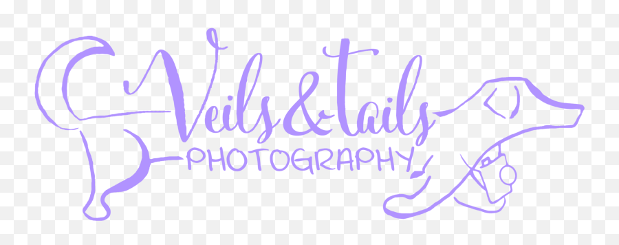Family Session With A Surprise Baby Announcement U2014 Santa Emoji,Veiled Emotions Family Session With A Surprise Baby Announcement U2014 Santa Emoji,Veiled Emotions