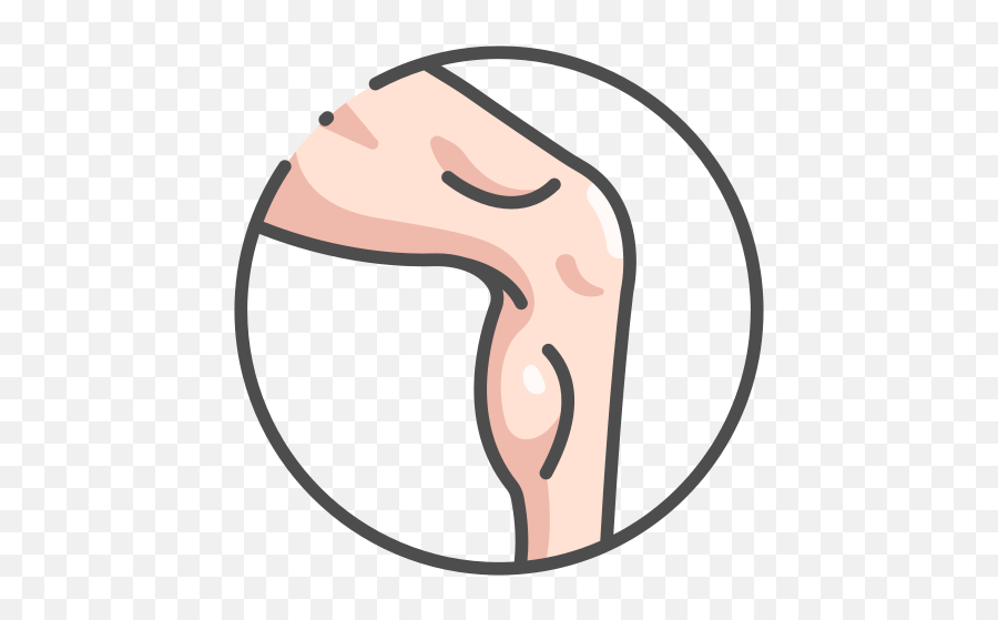 Leg Muscle Body Free Icon Of Human Body Color Emoji,Muscular Emoticons