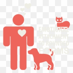 Curves Emoji,Emotion Beauty Supply Shopper