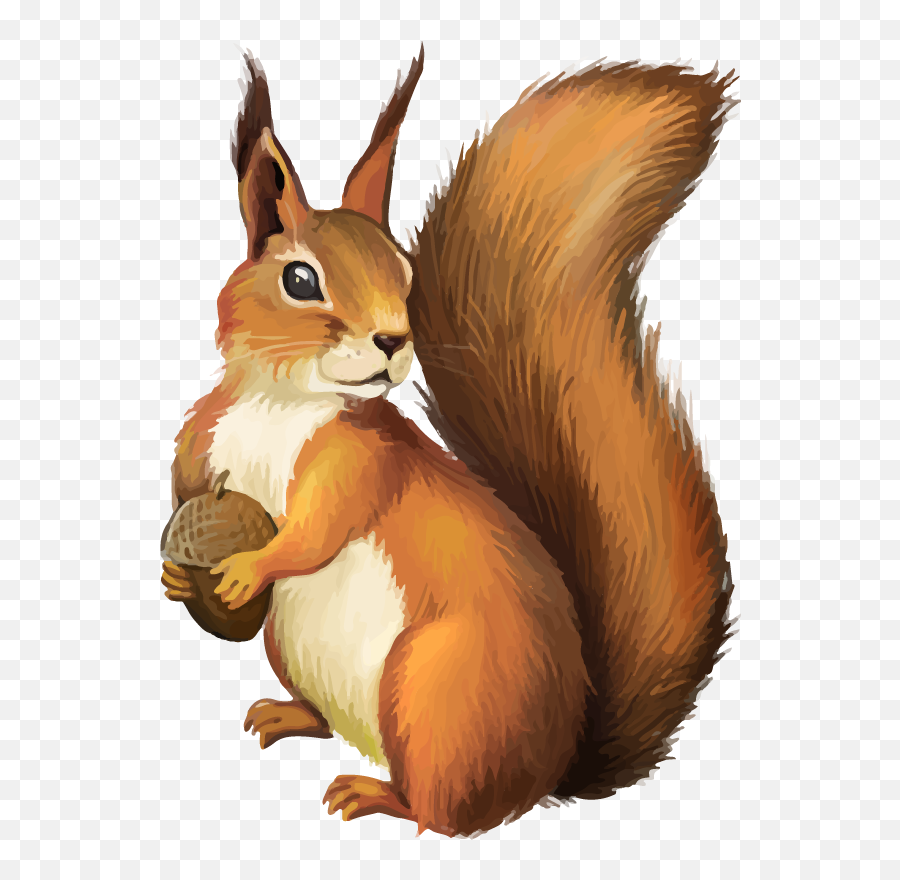 Squirrel Sticker Challenge - Squirrel Clipart Png Emoji,Red Squirrel Emoji
