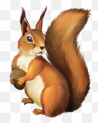 Squirrel Sticker Challenge - Squirrel Clipart Png Emoji,Red Squirrel Emoji