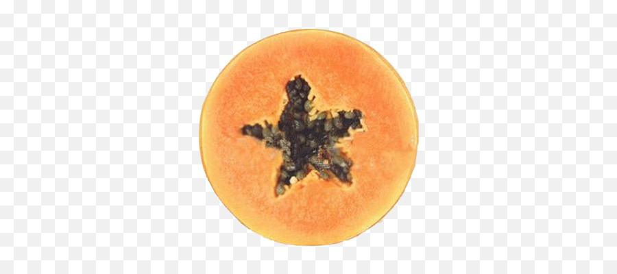 Coussin Tranche De Fruit Coin Coussin - Fruit Emoji,Coussin Emoji Caca