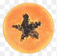 Coussin Tranche De Fruit Coin Coussin - Fruit Emoji,Coussin Emoji Caca