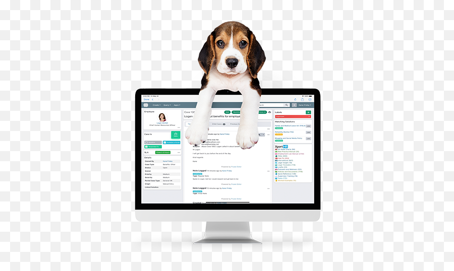 The Ultimate Guide To Conversational Ai Chatbots For Hr - Dog Emoji,Hr Emojis