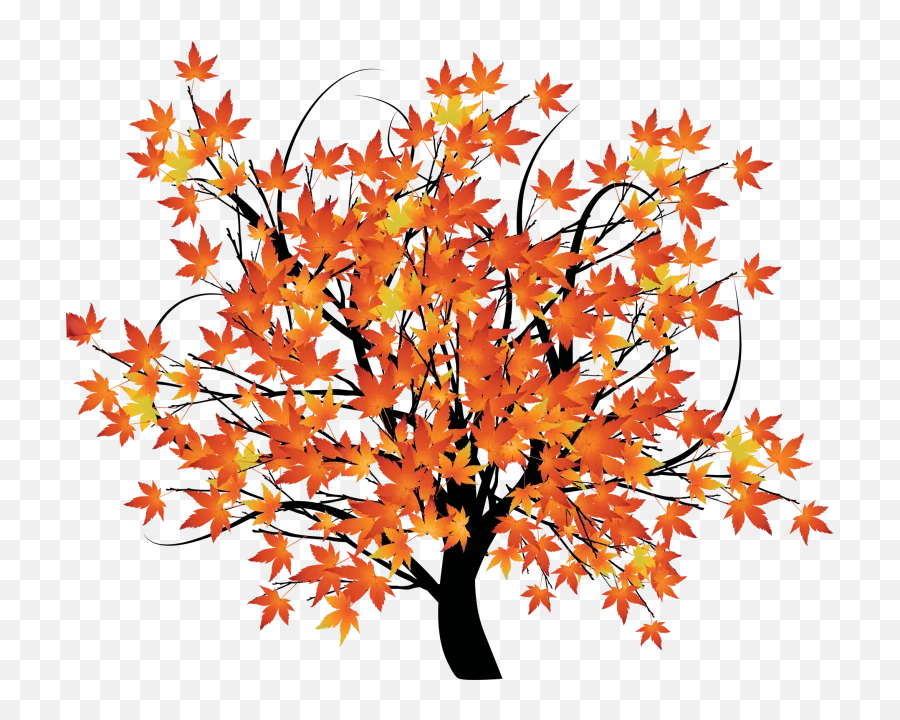Fall Clip Art For Craft Design - Autumn Leaves And Tree Emoji,Emotion Art Trees