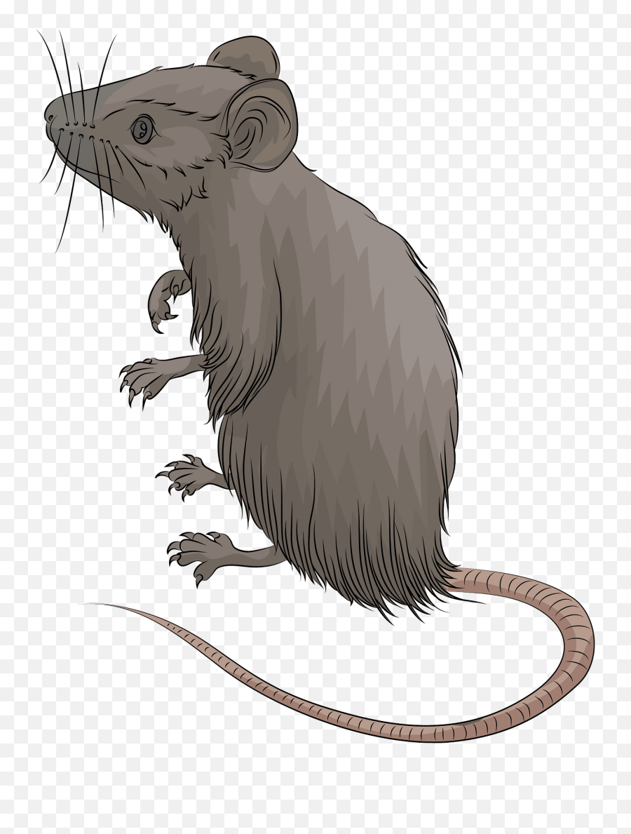 Mouse Clipart - Mouse Clipart Emoji,69 Rat Emoji