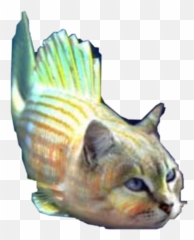 The Most Edited Emoji,Cat Fish Emoji