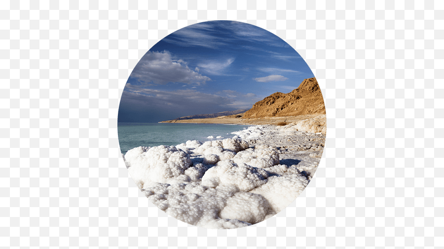Source Vitál Apothecary Ingredient Glossary - Did The Dead Sea Get Its Name Emoji,Calm Seas Emotions