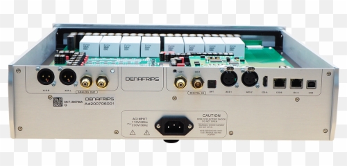 With The Terminator I Get Goosebumps - Denafrips Terminator Plus Emoji,Terminators With Emotions