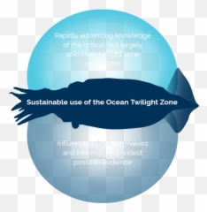 Work Impact Emoji,Emotion The Ocean