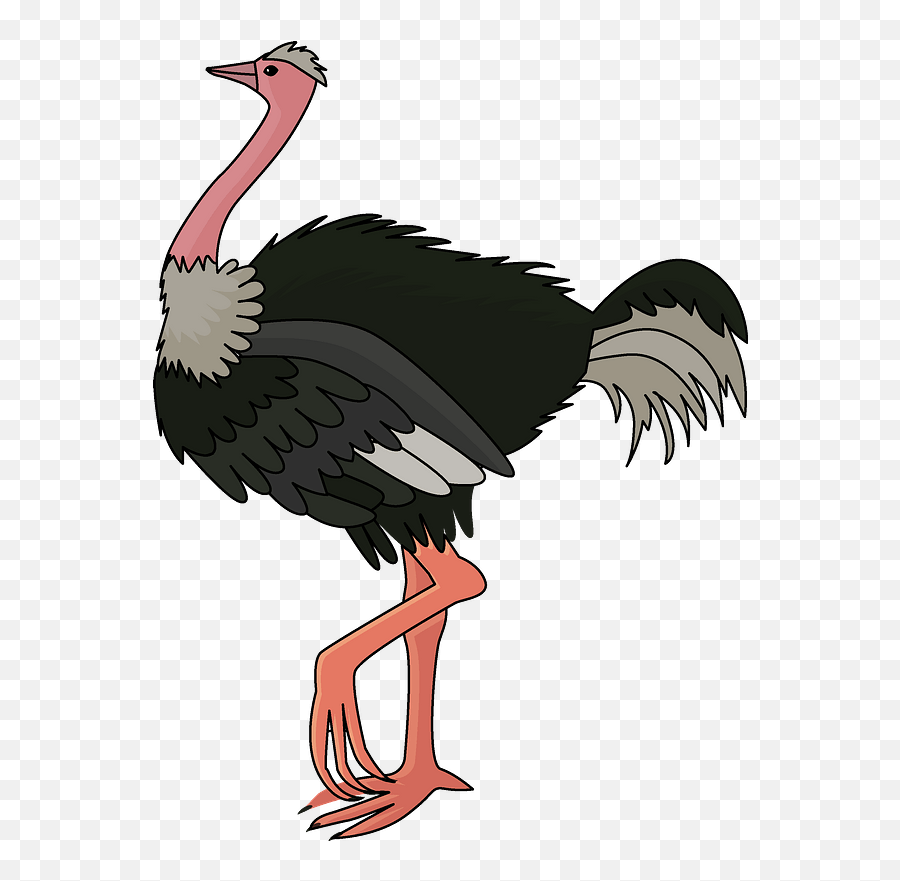 Ostrich Clipart - Ostrich Clipart Png Emoji,Ostrich Emoji