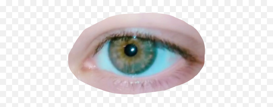 Eye Eyes Green Hazel Cry Sticker By Beatlehippie - Green Eye Emoji,Eyeballs Emoji