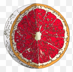 Grapefruit Moon U2014 Greg Martin Emoji,Citrus Emoji