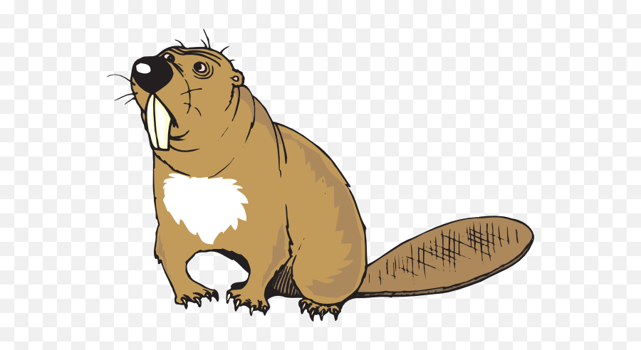 100 Free Confused U0026 Confusion Vectors - Beaver Clipart Emoji,Beaver Emoji