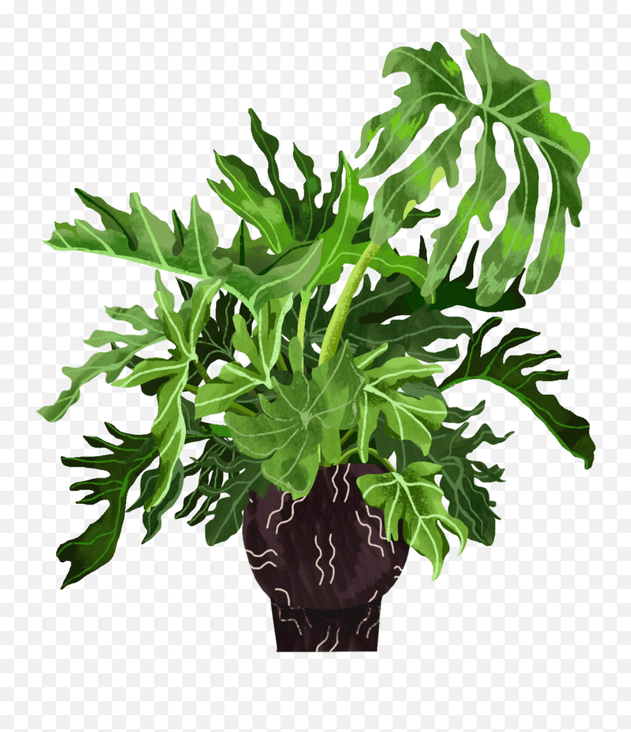 Philodendron Selloum Plant Care Guide Emoji,Plant Emoji In Pot