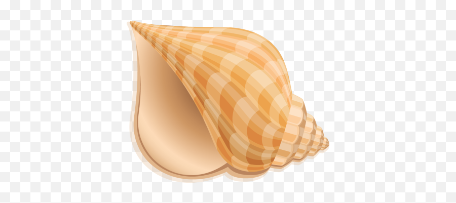 Silhouette Shell Clip Art - Clip Art Images Of Shell Emoji,Conch Shell Emoji