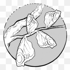 Japanese Poetry Archives - Natural Foods Emoji,Poetry Emotion Song