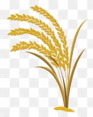Nawon U2013 The Leading Food U0026 Beverage Manufacturer Supplier - Grains Emoji,Emojis Drinking Milk