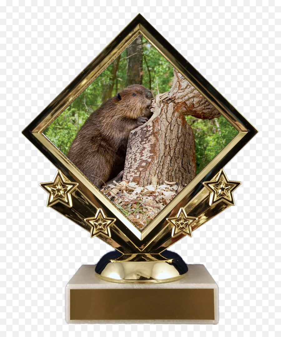 Beaver Logo Diamond Trophy - Beaver Cutting Down Tree Emoji,Pinewood Derby Designs Emojis