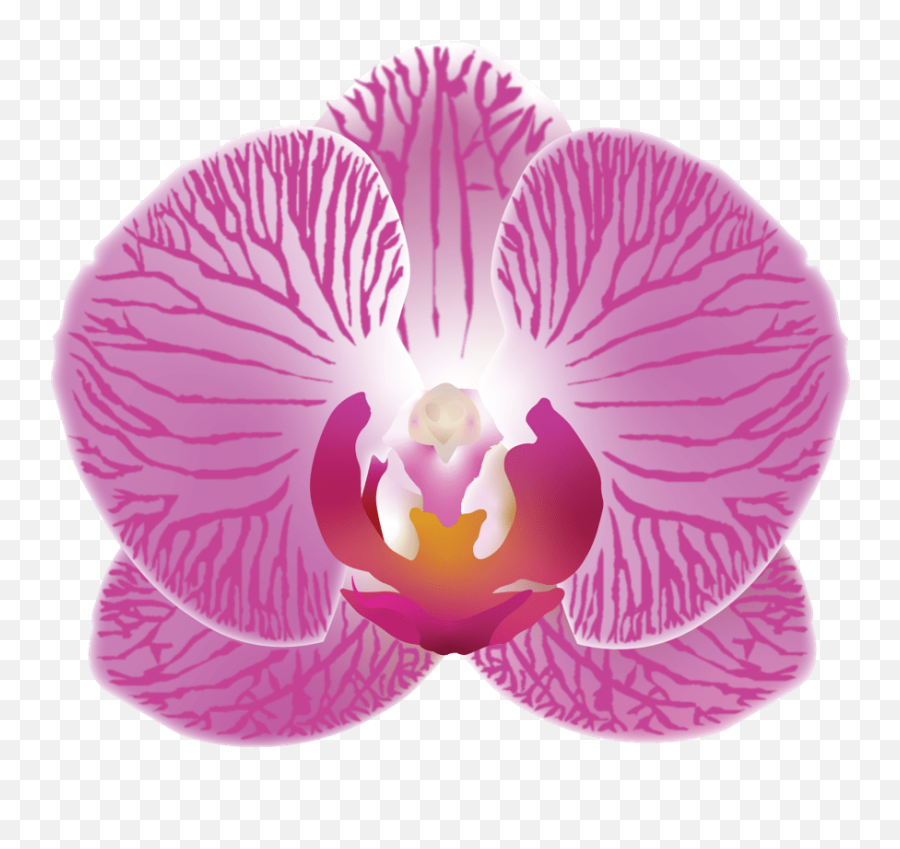 The Case For More Plantmoji U2013 Discover Share - Orchid Emoji,Emoji The Case For More Plantmoji U2013 Discover Share - Orchid Emoji,Emoji