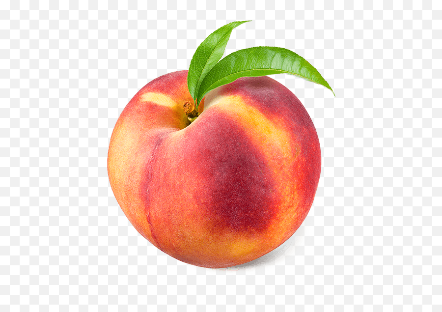 Fruits Game Baamboozle Emoji,What Does A Peach Emoji Represent