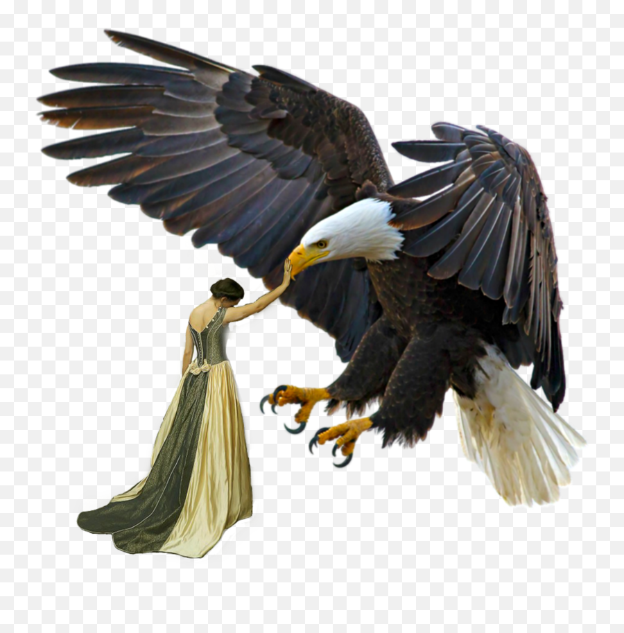 Woman Eagle Sticker - American Eagle Flag Emoji,Is There An Eagle Emoji