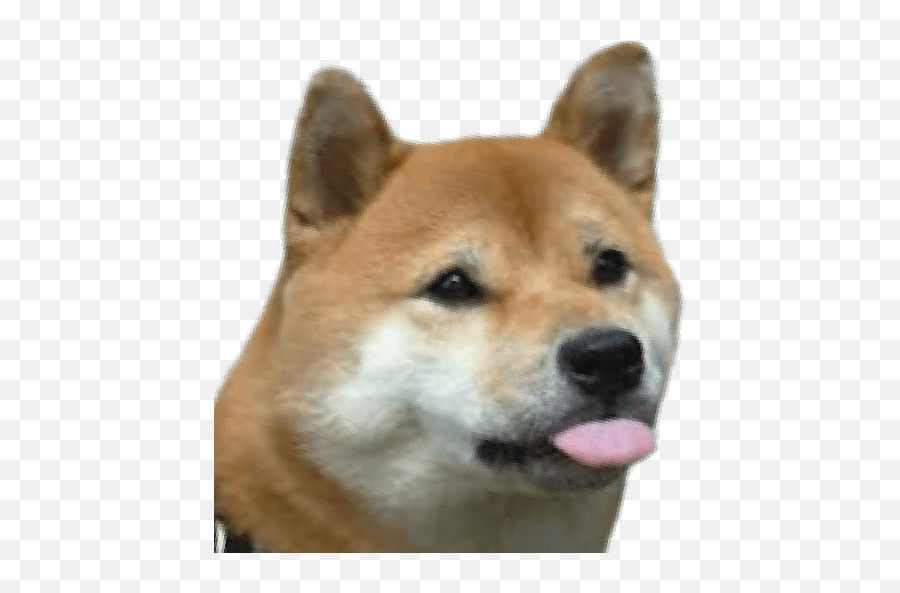 Shugu Emojis - Hokkaido Dog,Shiba Inu Emoji
