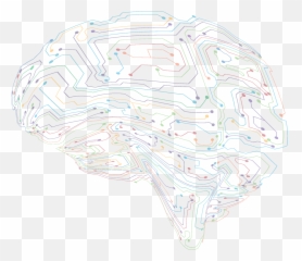 Frontiers In Neural Circuits - Dot Emoji,Emotion Circuit