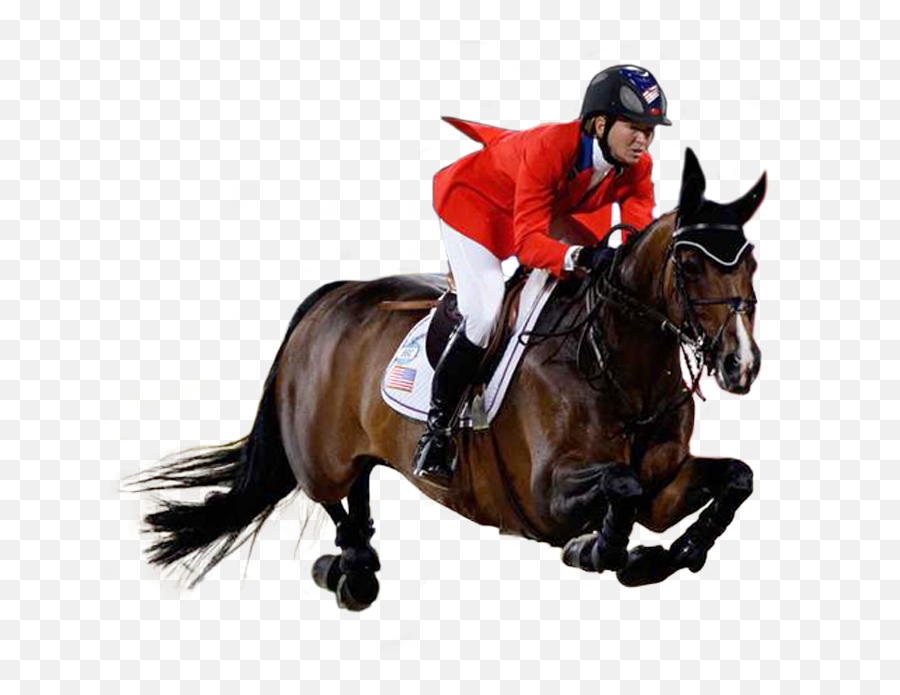 Png Images Png Show Jumping Horse - Equestrian Horse Rider Transparent Emoji,Emotion Horse Rider Metaphor