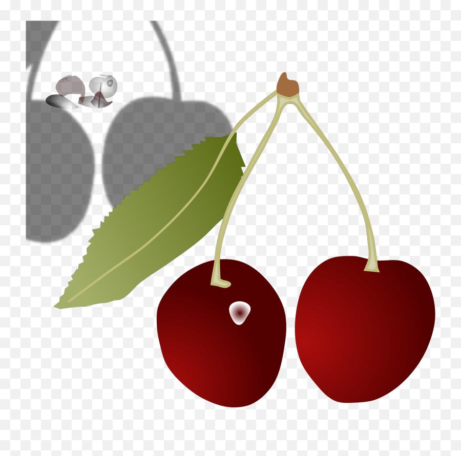 Cartoon Drawing Cherry Clipart - Full Size Clipart 5518234 Cherry Emoji,Picture Of A Cherry Emoji