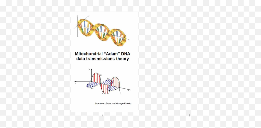 Pdf Adam Mt Dna Inheritance Theory Alexandru Cosciug - Vertical Emoji,Emotions Of The Xyphoid Process