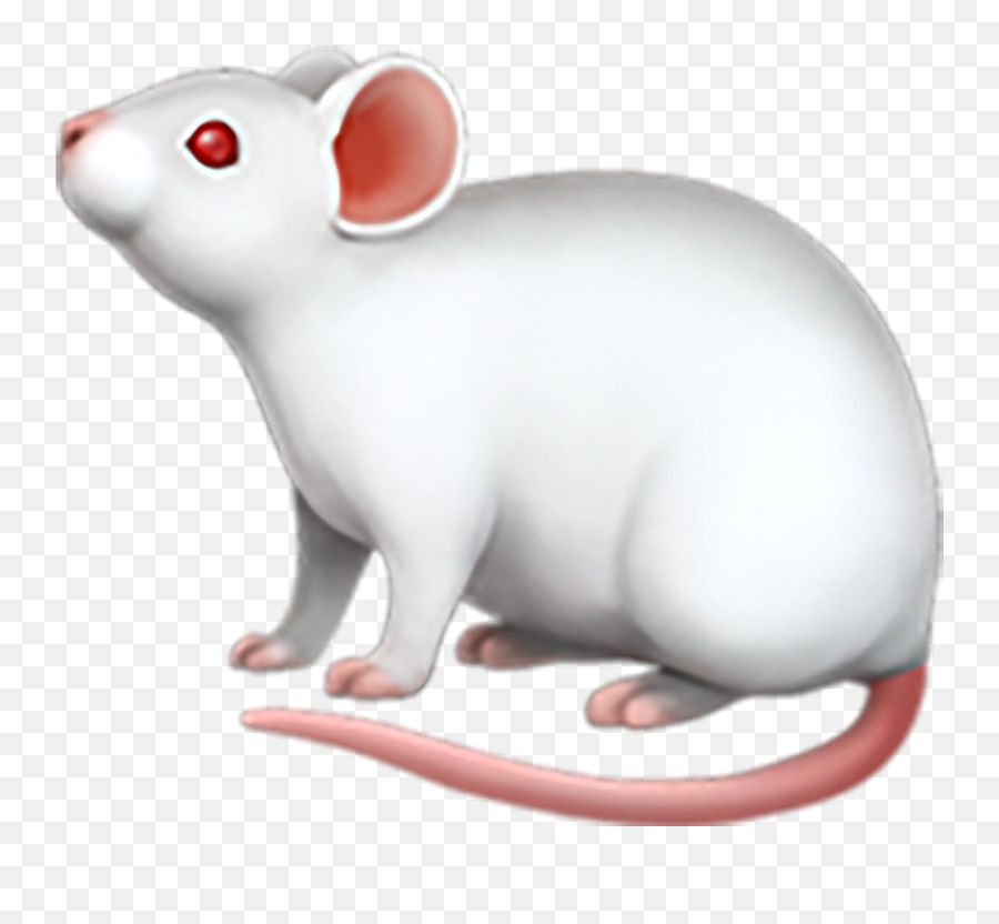 Mouse Emoji Copy Paste,Rat Emojis