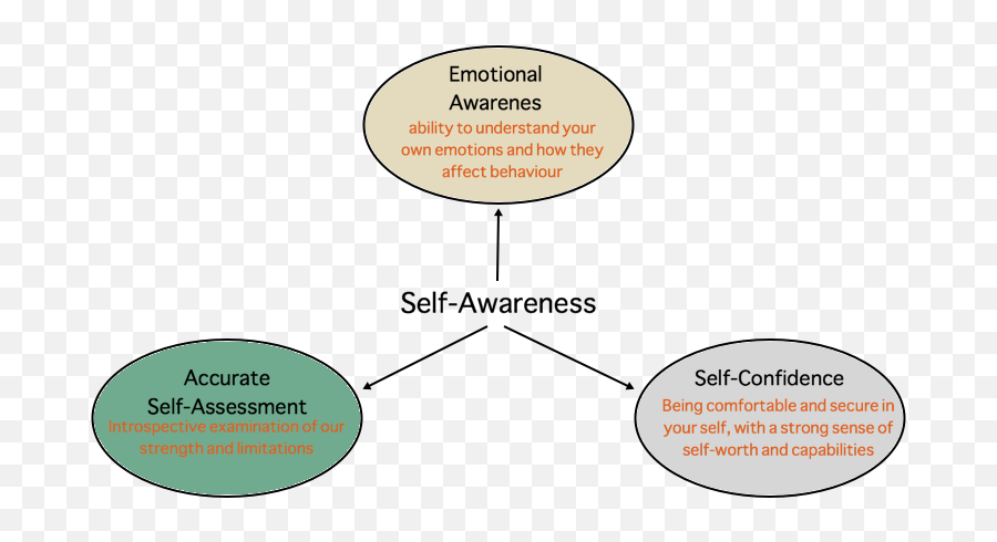 Self - Leadership Self Awareness Emotional Intelligence Emoji,What Are Self Conscious Emotions
