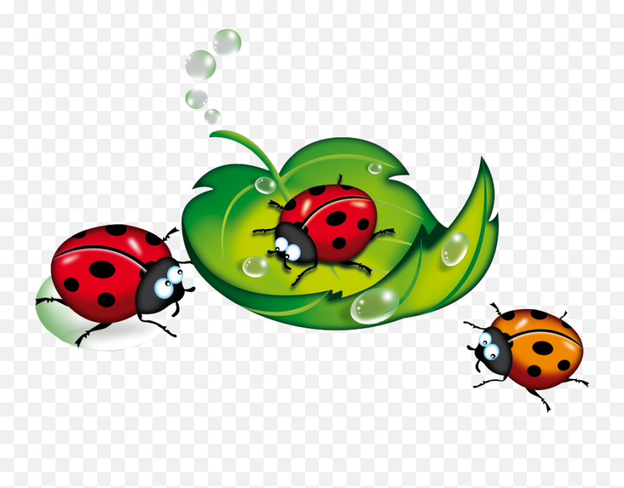 Só Png Joaninhas Em Png Bee Drawing Ladybug Theme Rock Emoji,Sleep Emoji + Ant Emoji +ladybug Emoji + Ant Emoji =