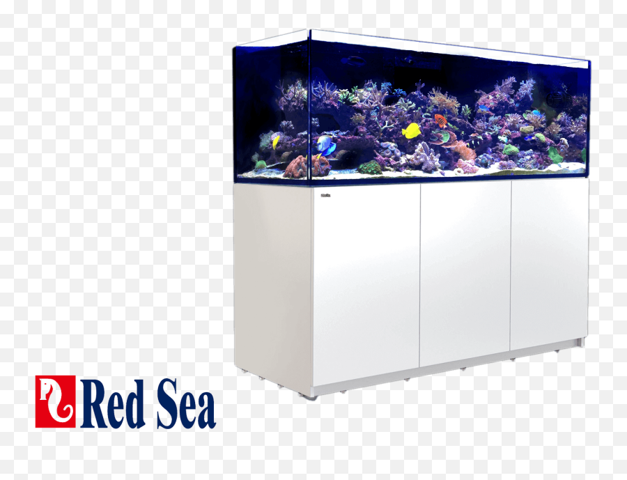 Saltwater Aquariums - Aquatic Treasures Emoji,Fishtank Emoticon For Facebook